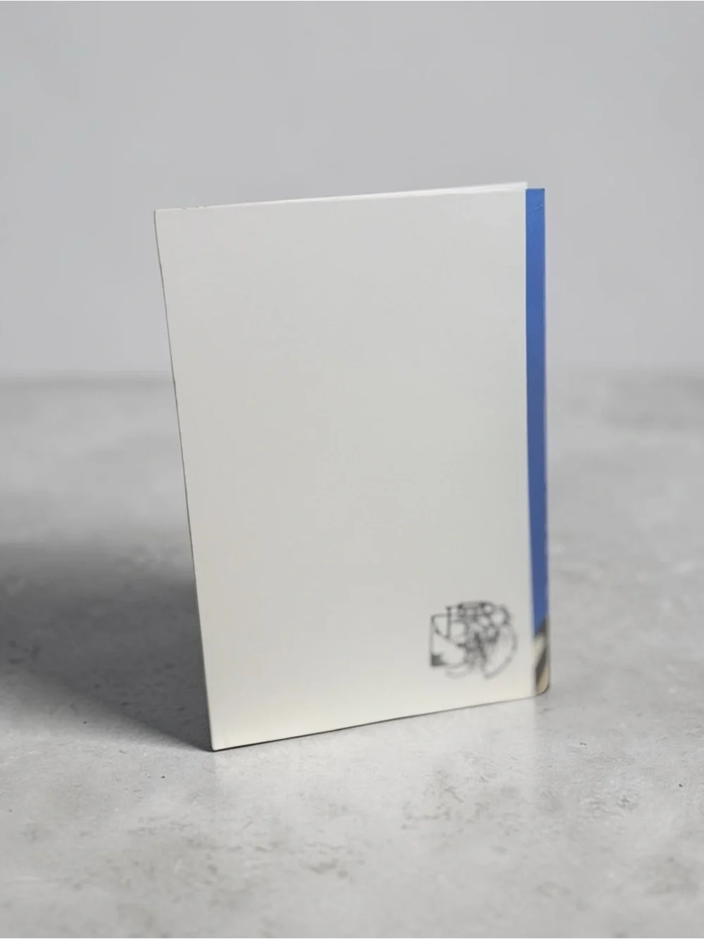 Wise Owl on Blue Sky – 5 Pack Greeting Card Set by Briefcase Artist